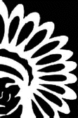 NCAI logo